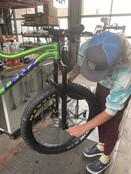 Bicycle Tune-Up