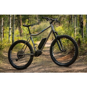 Custom Titanium E-bike frame - MTB