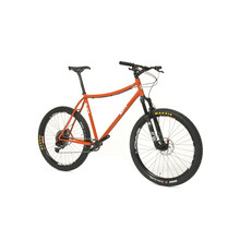 Custom Hardtail Mountain Bike Frame