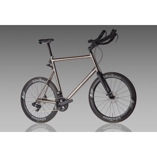 Clydesdale Triathlon Frame