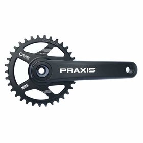 Praxis MTN cranks - Hollow DH - 165mm