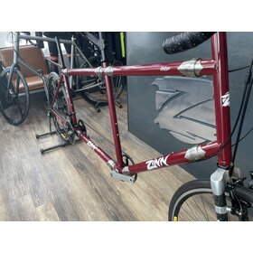 Zinn Custom Tandem Travel Bike with S&S Couplings - used in excellent condition