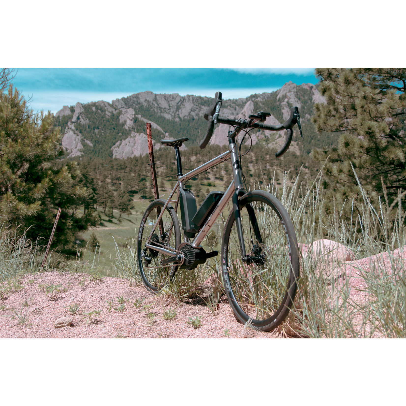 Clydesdale Clydesdale Whip - Titanium gravel/road/touring E-bike