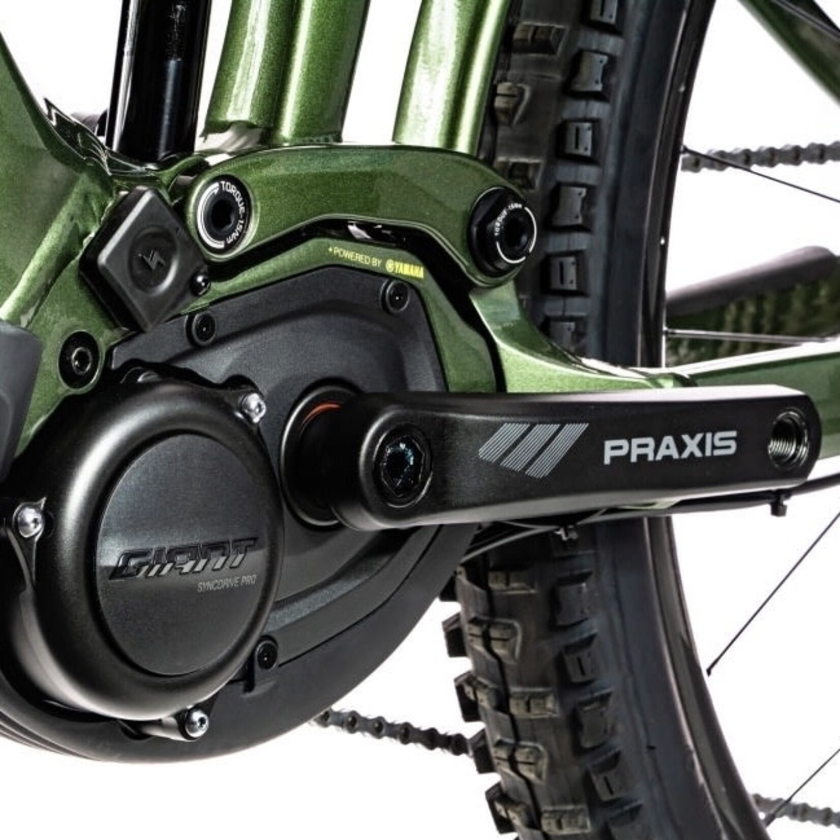 Praxis Praxis e-Bike cranks - Bosch/Yamaha - Alloy