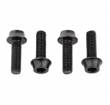 Wolf Tooth Water Bottle Cage Bolts, Aluminum - 4 pcs. /