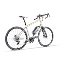 eZinn Rival AXS - Custom All-road e-bike