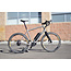 Zinn Cycles eZinn Rohloff E14 Belt Drive - Custom All-road e-bike