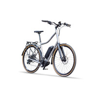 eZinn Hybrid Deore- Custom hybrid e-bike