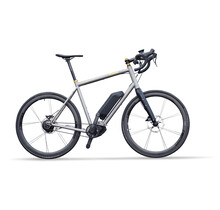 eZinn Rohloff E14 Belt Drive - Custom All-road e-bike