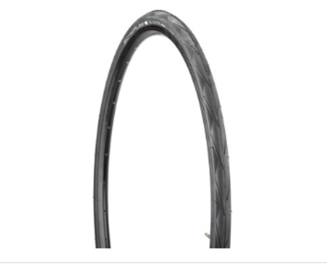 Schwalbe E-One Tire - 700 x 28, Clincher, Folding, Black, Evolution, V-Guard, Addix Race E50