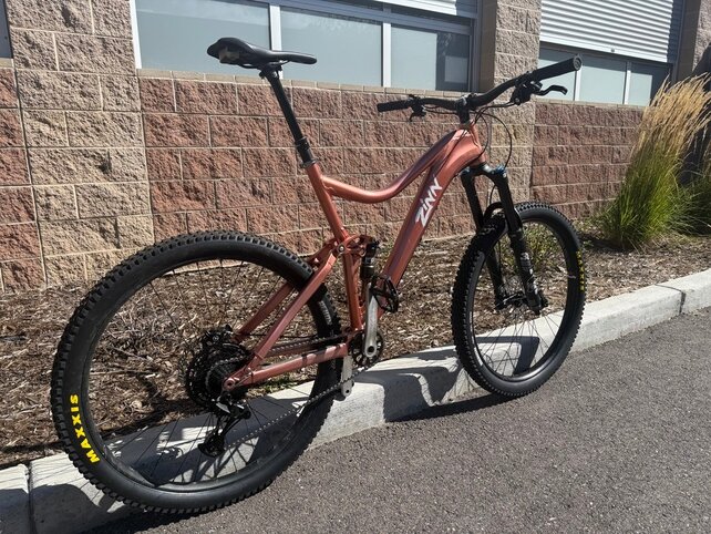 Zinn B.I.G. full suspension MTB- size XL/XXL- Gold