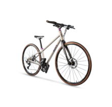 Rome Pro Hybrid - Rival AXS 1x13 - Custom hybrid and fitness bike