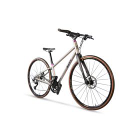 Rome Pro Hybrid - Rival AXS 1x13 - Custom hybrid and fitness bike