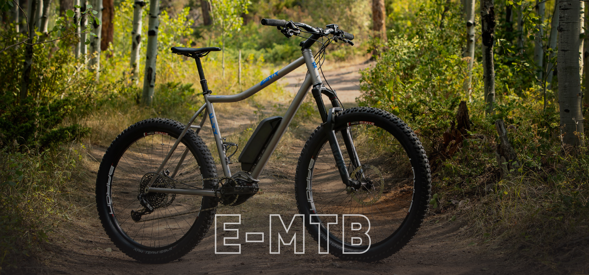 Custom Mountain E-bikes
