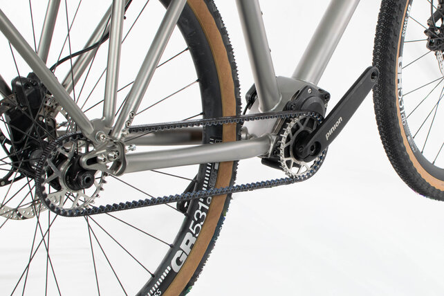 Demo Bike - Lightly Used Zinn Custom Touring bike with Pinion Belt Drive