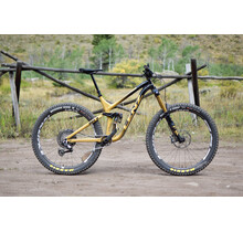 Lenz Lunchbox Demo bike - Primetime - 440R - Black and Gold