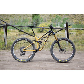 Lenz Lunchbox Demo bike - Primetime - 440R - Black and Gold
