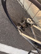 used Bike - Excellent Condition Zinn Custom Flat Bar All-Road bike with Rohloff Hub 6'3" to 6'7" rider