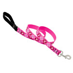 Lupine Lupine Puppy Love 1 in x 6 ft Leash
