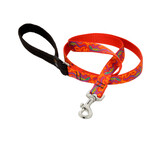 Lupine Lupine Go Go Gecko 3/4 in x 6 ft Leash