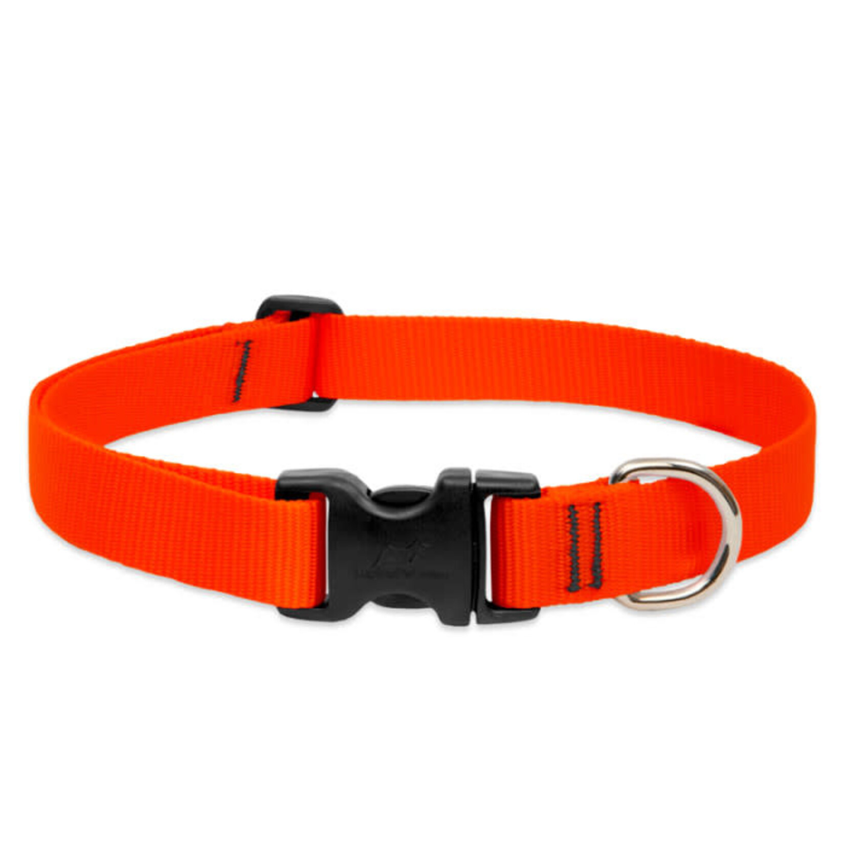 Lupine Lupine 1 in x 16-28 inch Orange Adjustable Collar