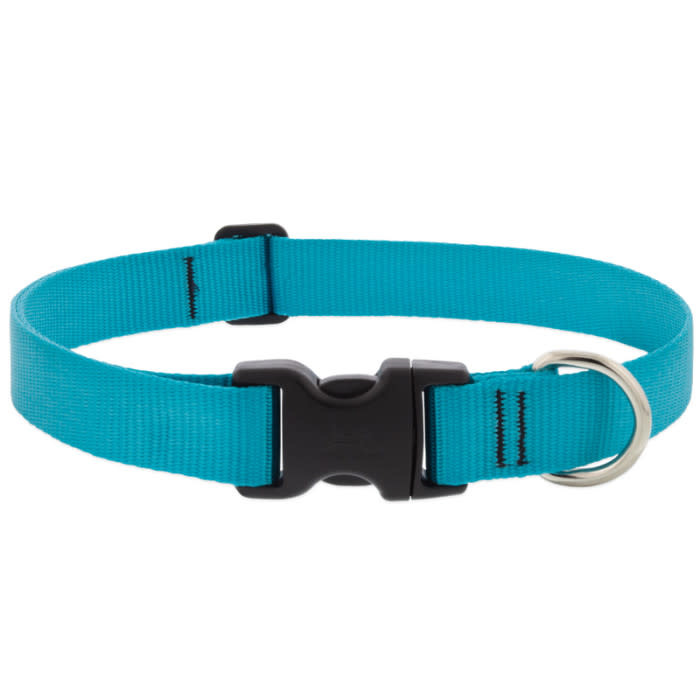 LUPINE DOG COLLARS Newfound Pet Center