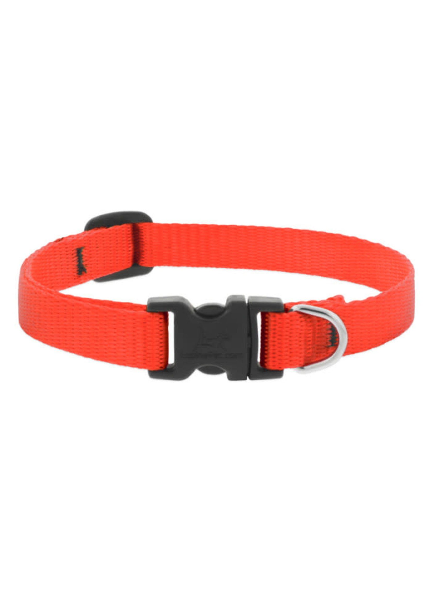 LUPINE DOG COLLARS Newfound Pet Center