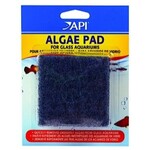API API Algae Scraper Pad