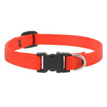 Lupine Lupine Blaze Orange 1/2 in x 8-12 in Adjustable Collar