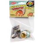 Zoo Med Zoo Med Hermit Crab Grown Shell Medium 2 Pack