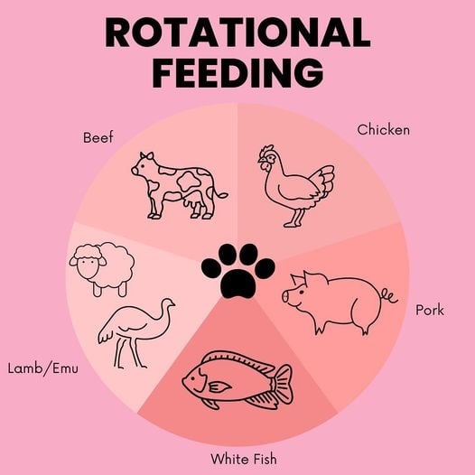 Rotational Feeding