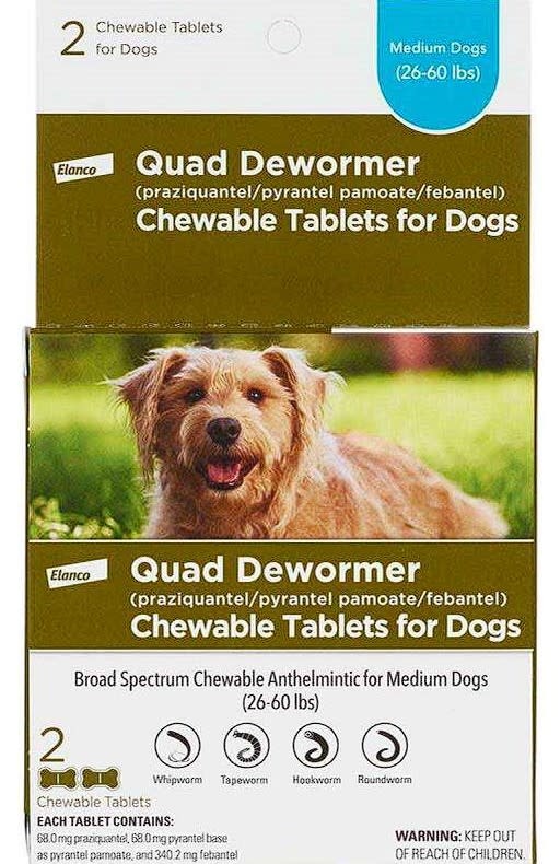 Bayer Dog Quad Dewormer 2660lb 2 Count Newfound Pet Center