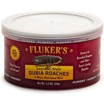 Fluker's Fluker's Groumet Style Dubia Roaches 1.2oz Can