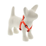 Lupine Lupine Blaze Orange 1/2 in x 10-13 in Step In Harness