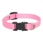 Lupine Lupine Pink 1/2 in x 8-12 in Adjustable Collar