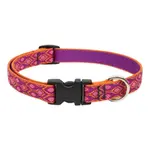 Lupine Lupine Alpen Glow 3/4 in x 13-22 in Adjustable Collar