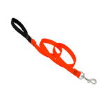 Lupine Lupine Blaze Orange 3/4 inch 6 foot Leash