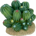 Komodo Reptile Komodo Cactus/Barrel Cactus Green Medium