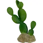 Komodo Reptile Komodo Cactus/Prickly Pear Green 6.3 inch