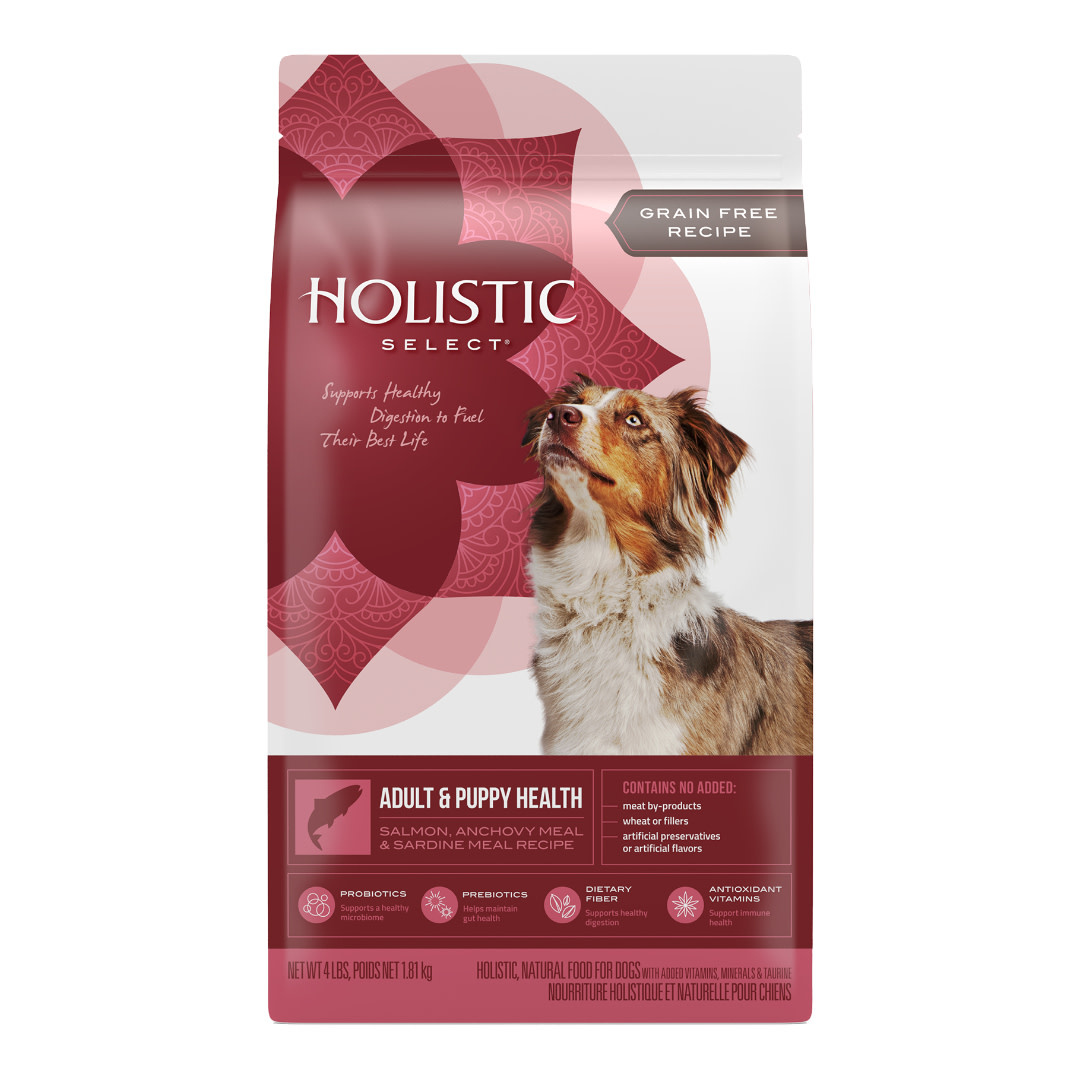 Holistic Select Dog Grain Free Salmon, Anchovy & Sardine 24lb