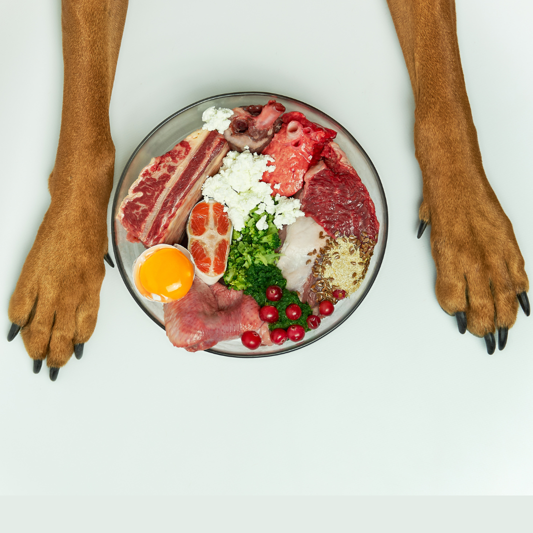 Top It Off: The Benefits of Adding Toppers to Your Dog's Meals for Extra Nutrition & Flavor!