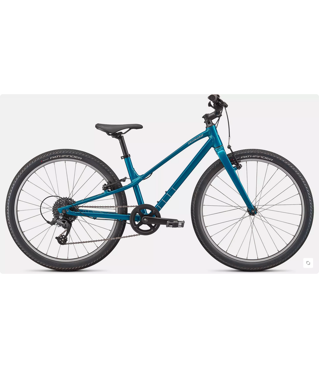 Specialized jett 24"-Gloss Teal Tint/ Flake Silver