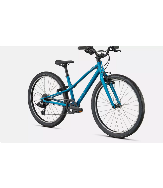 Specialized jett 24"-Gloss Teal Tint/ Flake Silver