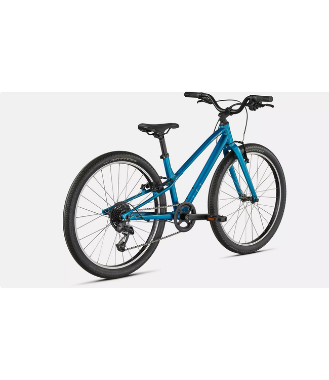 Specialized jett 24"-Gloss Teal Tint/ Flake Silver