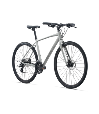 Giant, Escape 2 Disc Concrete- Matte Grey, Extra Large