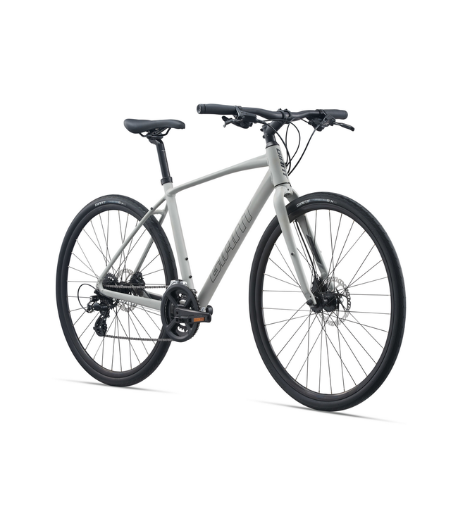 Giant, Escape 2 Disc Concrete- Matte Grey, Extra Large