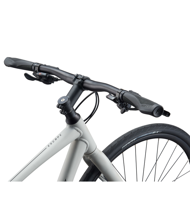 Giant, Escape 2 Disc Concrete- Matte Grey, Extra Large