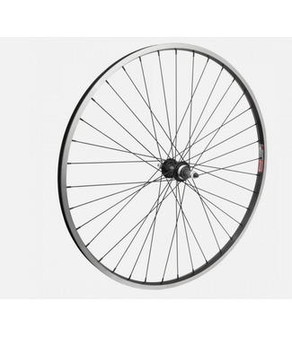 WHEEL MASTER WHL RR 700x35 622x19 ALY BK MSW 36 ALY FW 5/6/7sp BO BK 135mm 14gBK