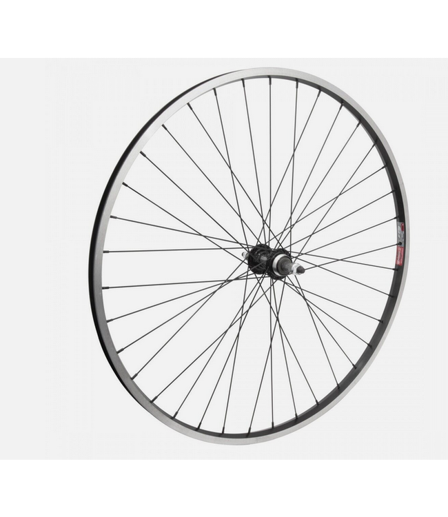 WHEEL MASTER WHL RR 700x35 622x19 ALY BK MSW 36 ALY FW 5/6/7sp BO BK 135mm 14gBK