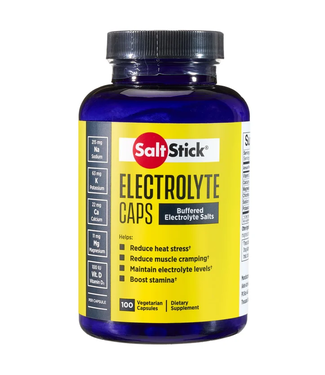 SaltStick SaltStick, Electrolyte- 100 Capsules